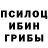 Галлюциногенные грибы Psilocybine cubensis Ilya Korobka