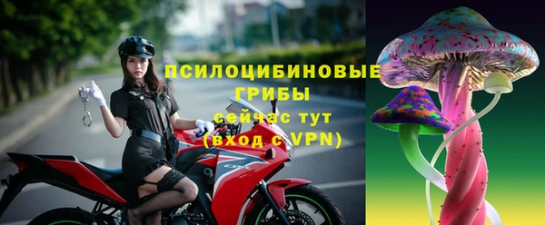 мет Алексин