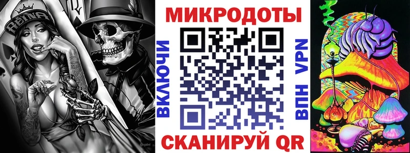 Псилоцибиновые грибы Psilocybe Катав-Ивановск